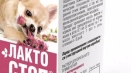 Лакто-стоп за кучета: от какво и как да използваме